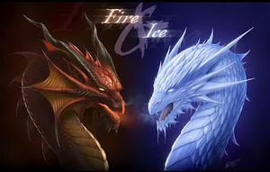 Meet your Posher, Erick